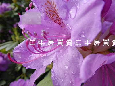 二手房買賣(二手房買賣注意事項)