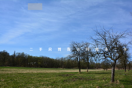 二手房買賣合同樣本(二手房買賣合同范本)