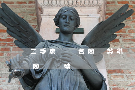 二手房買賣合同無效引發(fā)的借款合同糾紛特點