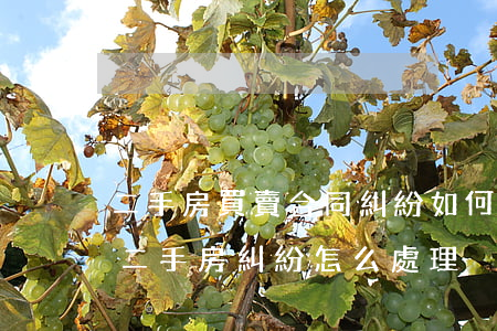 二手房買賣合同糾紛如何調(diào)解(二手房糾紛怎么處理)