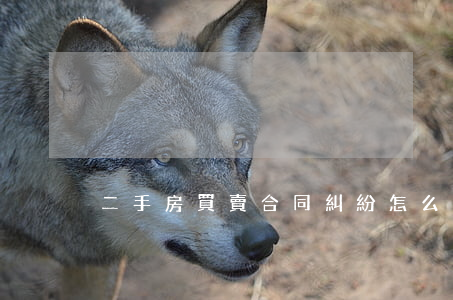 二手房買賣合同糾紛怎么陪錢