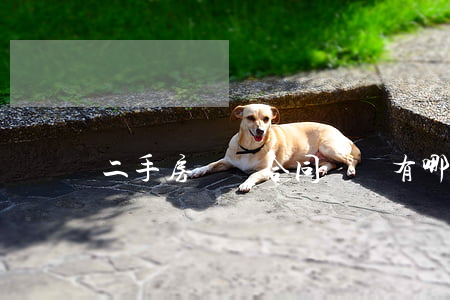 二手房買賣合同糾紛有哪些