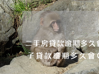 二手房貸款逾期多久會(huì)被起訴(房子貸款逾期多久會(huì)被起訴)