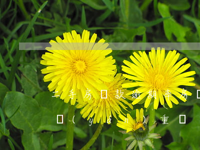 二手房貸款逾期率(房貸逾期二個(gè)月嚴(yán)重嗎)