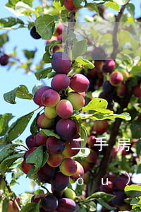 二手房賣(mài)方逾期起訴流程(購(gòu)買(mǎi)二手房賣(mài)方違約怎么起訴)