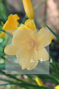二手房贷款年限
