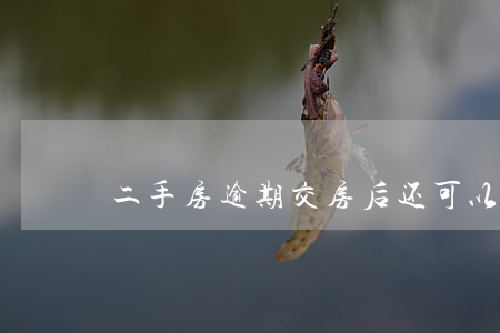 二手房逾期交房后还可以起诉吗