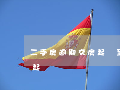 二手房逾期交房起訴至法院(住房逾期交房提起訴訟)