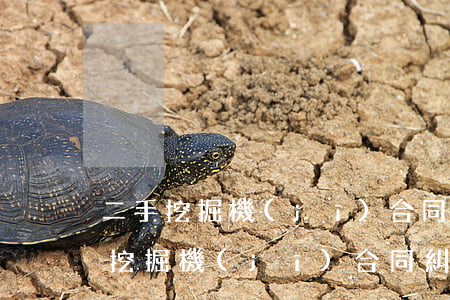 二手挖掘機(jī)合同糾紛如何處理(二手挖掘機(jī)合同糾紛如何處理)