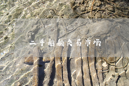 二手船舶交易市场