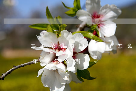 二手花唄逾期一年了怎么辦(二手花唄逾期一年了怎么辦)