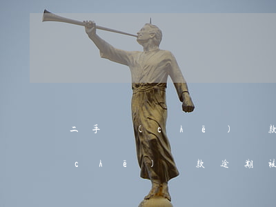 二手車(chē)貸款逾期被起訴(二手車(chē)貸款逾期被起訴如何應(yīng)訴)