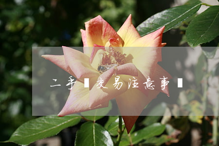 二手車交易注意事項