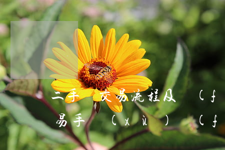 二手車交易流程及費(fèi)用(二手車交易手續(xù)費(fèi)怎么算)