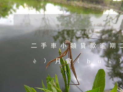 二手車小額貸款逾期(二手車貸逾期一個(gè)月會(huì)怎么樣)