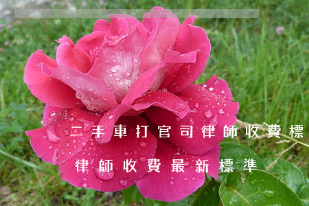 二手車打官司律師收費標準(打交通事故官司律師收費最新標準)