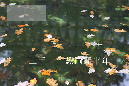 二手車貸款逾期半年