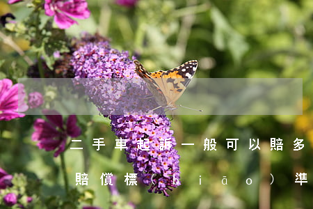 二手車起訴一般可以賠多少錢(二手車事故車賠償標(biāo)準(zhǔn))