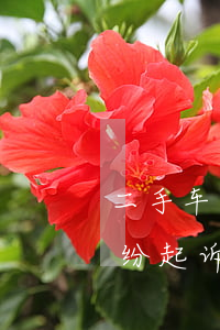 二手车买卖合同纠纷如何处理(二手车买卖纠纷起诉状)