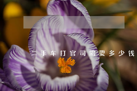 二手车打官司需要多少钱(二手车官司好打吗)