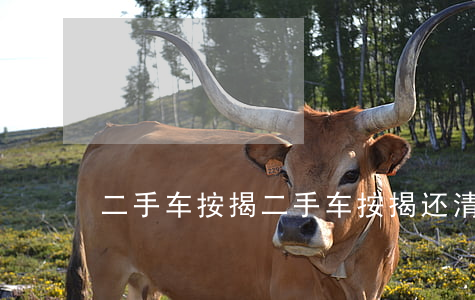 二手车按揭(二手车按揭还清后怎么拿绿本)