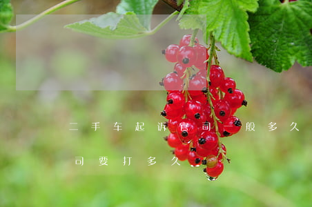二手车起诉官司一般多久会判(二手车纠纷官司要打多久)