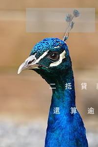 二抵貸款逾期多久會被起訴(貸款到期第二天還算逾期嗎)