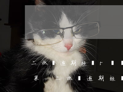 二抵貸逾期超過5萬會(huì)有什么后果-二抵貸逾期超過5萬會(huì)有什么后果嗎