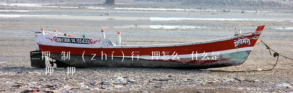 二押強制執(zhí)行一押怎么辦(什么是一押二押)
