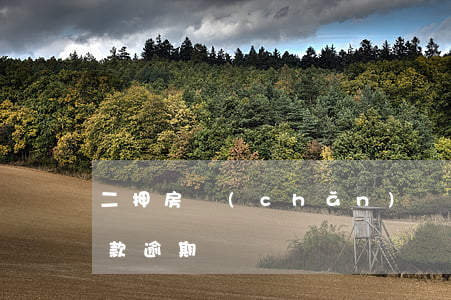二押房產(chǎn)貸款逾期處理(抵押貸款 逾期)