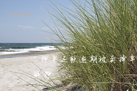 二押车还款逾期被卖掉(车贷还完两年了,忘记解押)