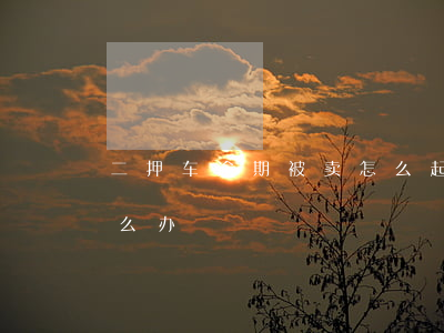 二押车逾期被卖怎么起诉(汽车二押被卖了怎么办)