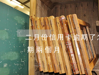二月份信用卡逾期了怎么辦(信用社信用卡逾期兩個月)