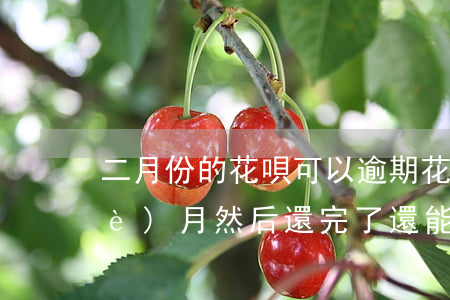 二月份的花唄可以逾期(花唄逾期了幾個(gè)月然后還完了還能用嗎)