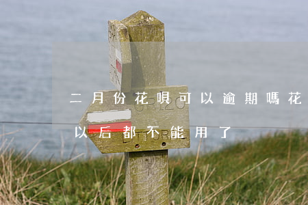 二月份花唄可以逾期嗎(花唄逾期二天是不是以后都不能用了?)