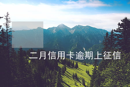 二月信用卡逾期上征信