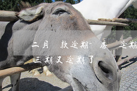 二月貸款逾期-房貸逾期二個(gè)月,第三期又逾期了