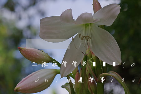 二根肋骨骨折賠償標(biāo)準(zhǔn)交通肇事2020年(交通肇事肋骨2根要賠多少錢(qián))