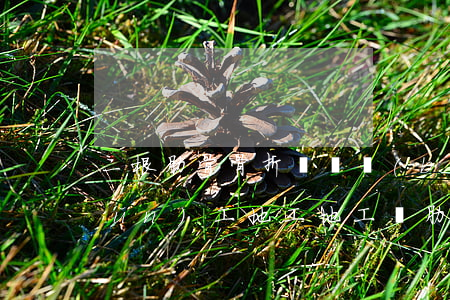 二根肋骨骨折賠償標(biāo)準(zhǔn)工地(工地工傷肋骨骨折兩根賠償標(biāo)準(zhǔn))