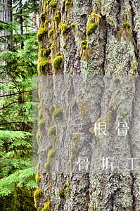 二根骨折賠償多少錢(qián)(二根肋骨骨折工傷賠償標(biāo)準(zhǔn))