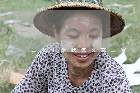 二次上訴狀怎么寫(二審上訴請求怎么寫)
