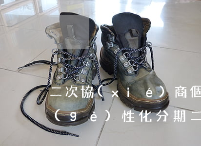 二次協(xié)商個(gè)性化分期(個(gè)性化分期二次逾期)