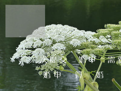 二次提交離婚申請需要說什么菜能判離(提交離婚申請算離婚嗎)