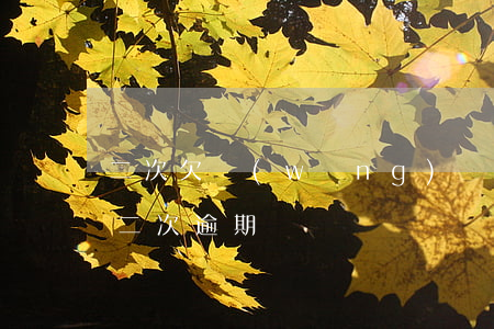 二次欠網(wǎng)貸(網(wǎng)貸二次逾期)