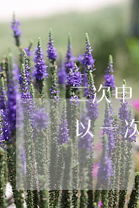二次申請個性化分期-個性化分期成功后可以一次還款嗎