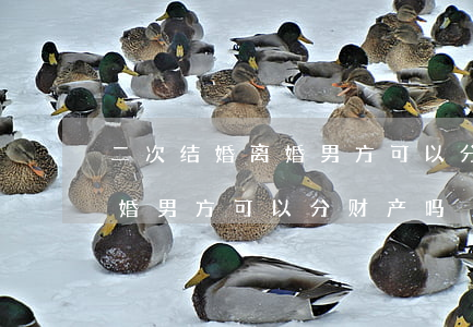 二次结婚离婚男方可以分财产吗(二次结婚离婚男方可以分财产吗)