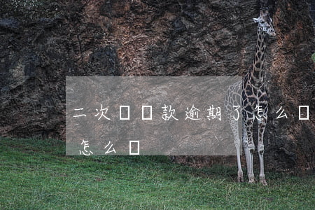 二次貸還款逾期了怎么辦(二次貸還款逾期了怎么辦)