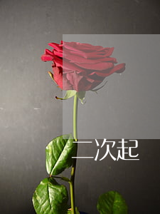 二次起訴欠錢人怎么辦（二次起訴欠錢人怎么辦）