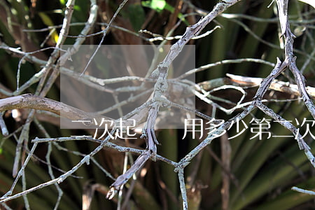 二次起訴費用多少(第二次起訴費用是多少)