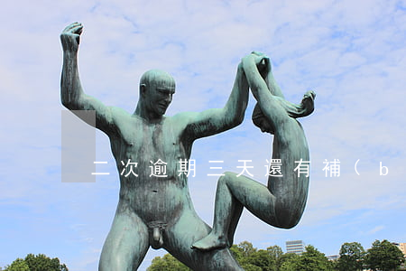 二次逾期三天還有補(bǔ)救的辦法嗎-